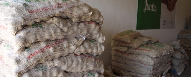 Teguise entrega más de 8.000 kilos de semillas de papas