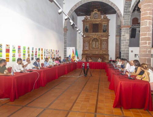 Pleno Ordinario Ayuntamiento de Teguise. 8/4/2024