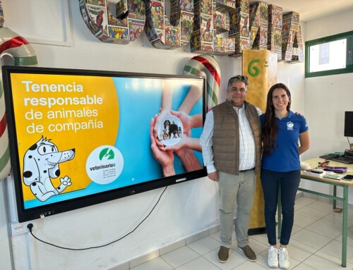 El Ayuntamiento promueve charlas sobre bienestar animal para los escolares de Teguise