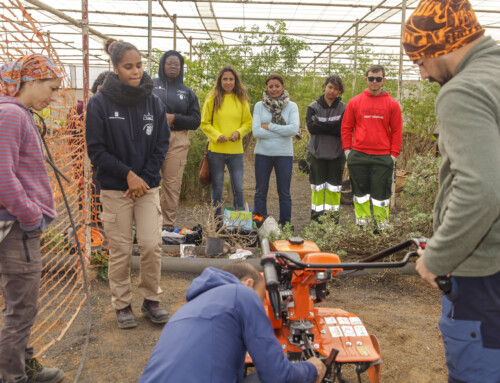Alumnado del IES Teguise participa en el innovador proyecto ‘Gestión Verde’ con prácticas agrarias sostenibles