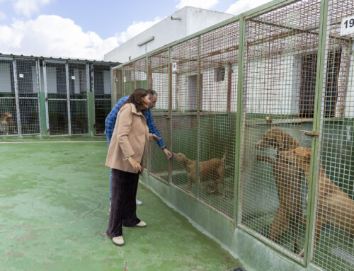 El Ayuntamiento de Teguise inaugura la nueva clínica veterinaria del Albergue Municipal