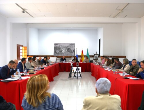 Pleno Ordinario Ayuntamiento de Teguise. La Graciosa 4/2/2026