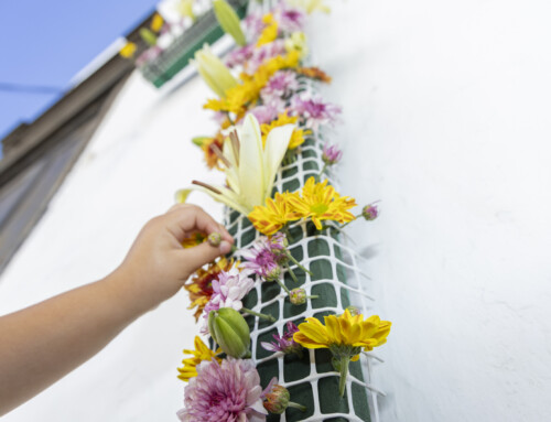 El tradicional enramado de las cruces llena de flores y color el municipio de Teguise