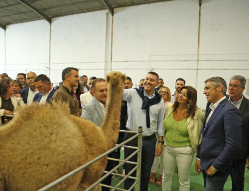 La V Feria de Ganadería, Agricultura y Pesca de Teguise cierra sus puertas consolidada como referente del sector primario en Lanzarote